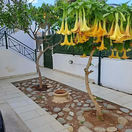 Dimitris Place Near Athens Airport Koropion Exterior photo