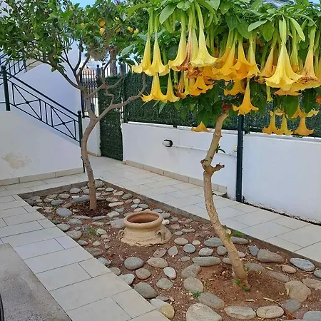 Dimitris Place Near Athens Airport Koropion Exterior photo