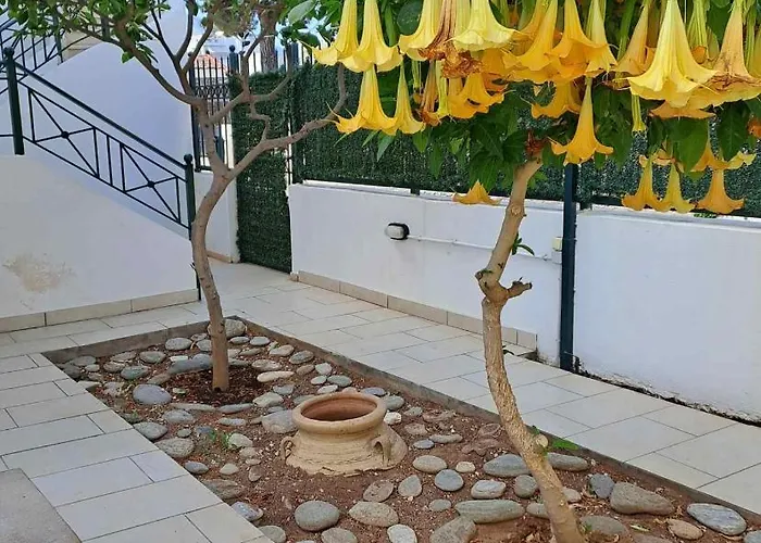 Dimitris Place Near Athens Airport