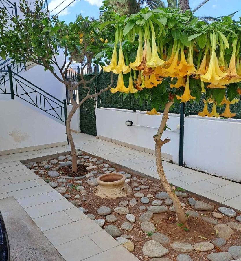 Dimitris Place Near Athens Airport Apartment *