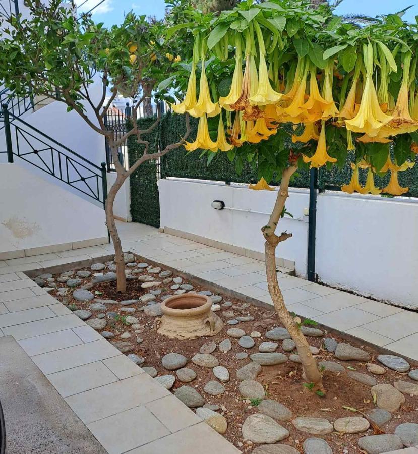 Apartment Dimitris Place Near Athens Airport Koropion