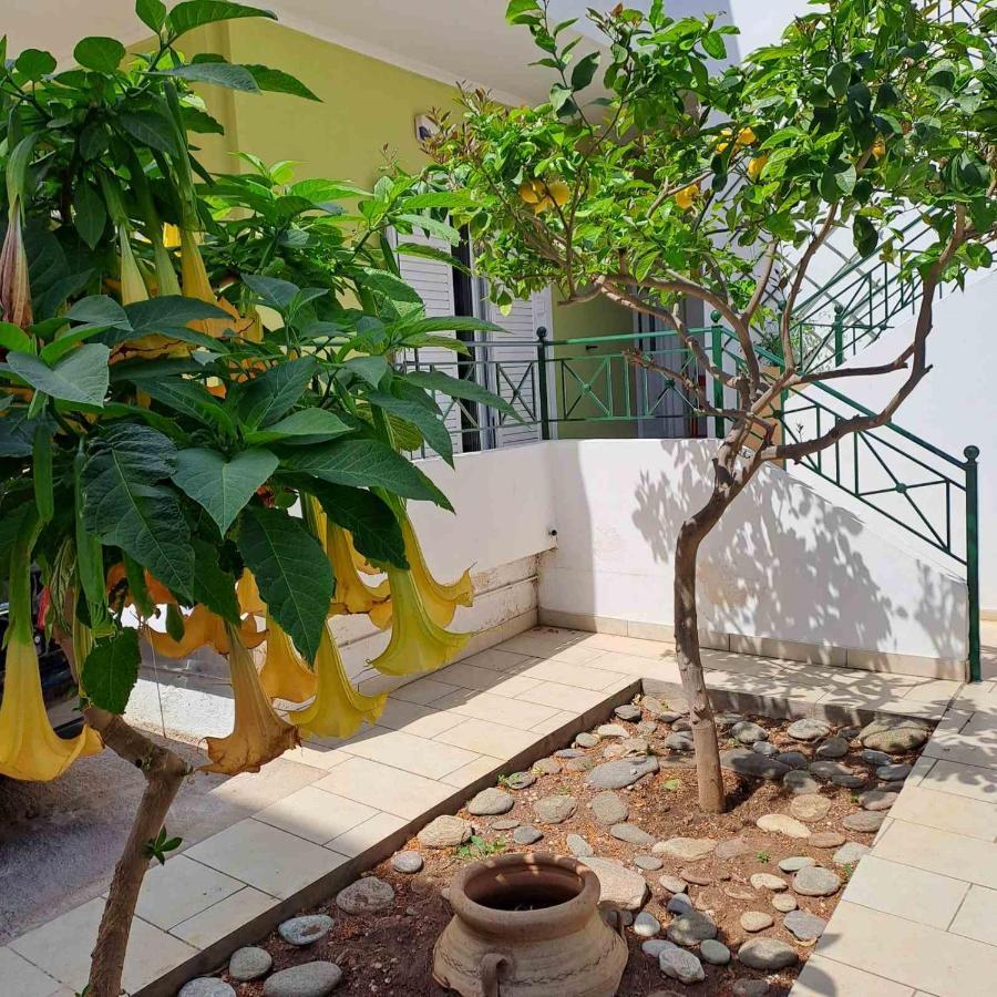 Apartment Dimitris Place Near Athens Airport *